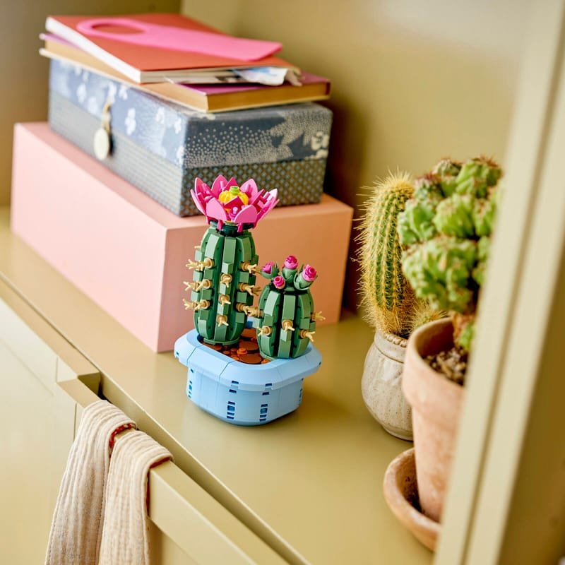 Flowering Cactus Building Blocks lifestyle display